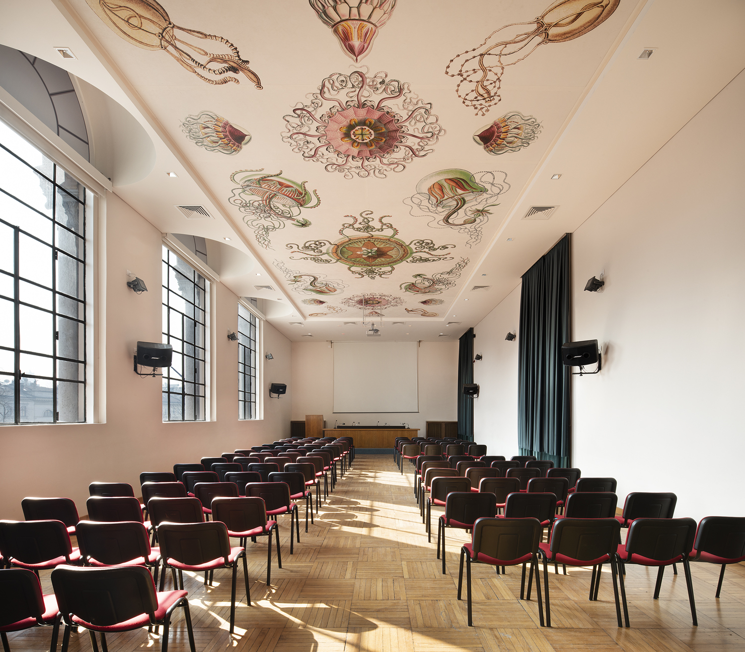 sala-conferenze-poltrone-rosse-soffitto-con-panelli-decorati-disegni-di-haeckel-meduse