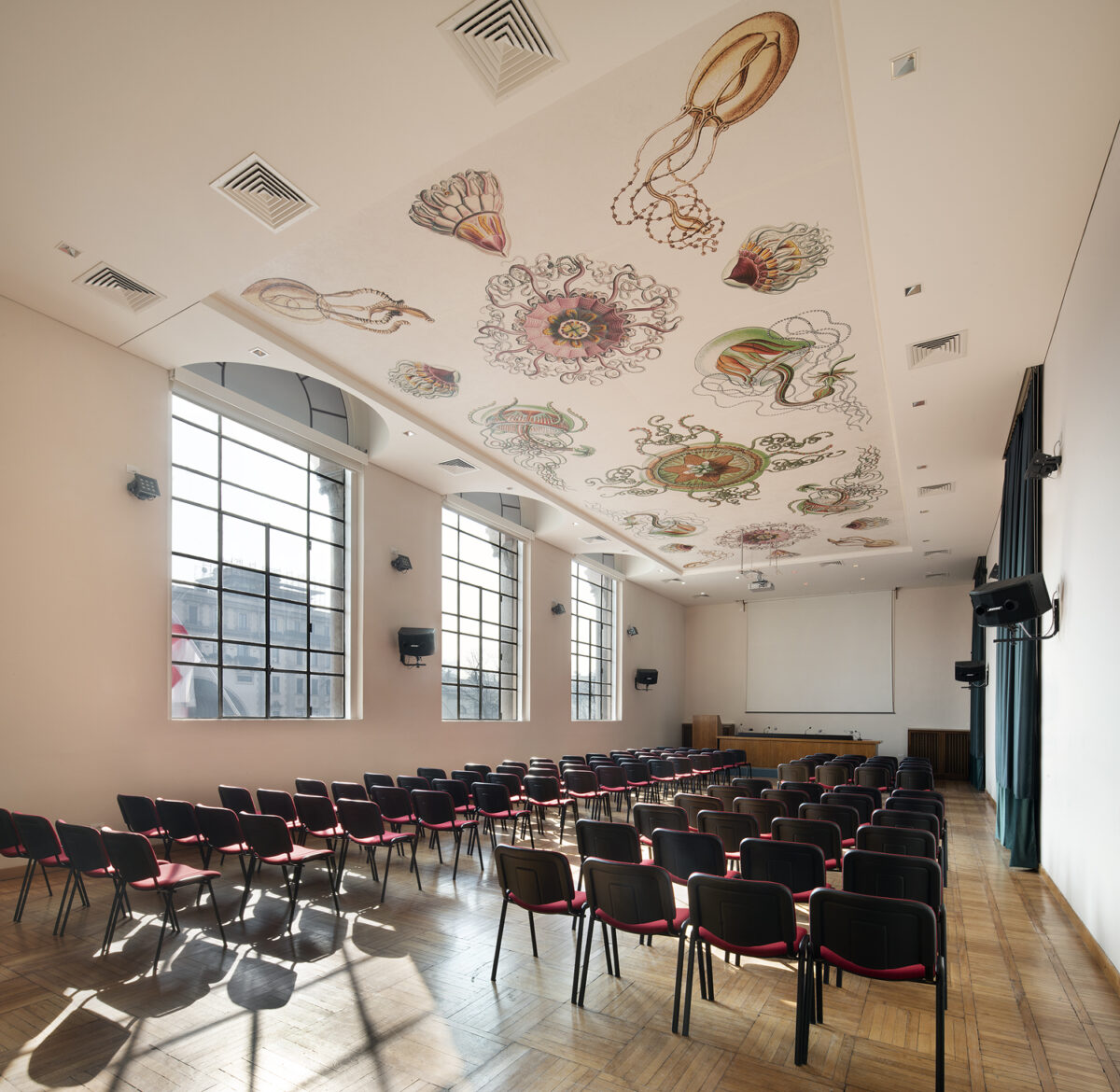 sala-conferenze-poltrone-rosse-soffitto-con-panelli-decorati-disegni-di-haeckel-meduse-museo-storia-naturale-milano